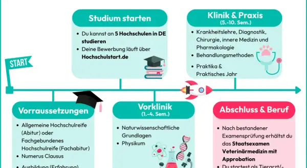 Infografik zum Tiermedizin studieren in Deutschland: Voraussetzungen, Studium, Klinik & Praxis, Abschluss.