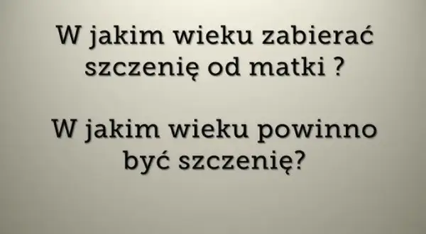 Ile szczeniak powinien być przy matce, aby uniknąć problemów zdrowotnych?
