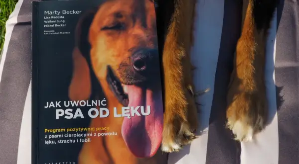 Librela dla psa: Czy to terapia na całe życie? Sprawdź!