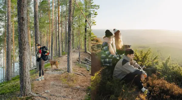Vandrare med hund i skogen nära Umeå. Vänner njuter av utsikten över landskapet. Umeå natur i sin vackraste form.