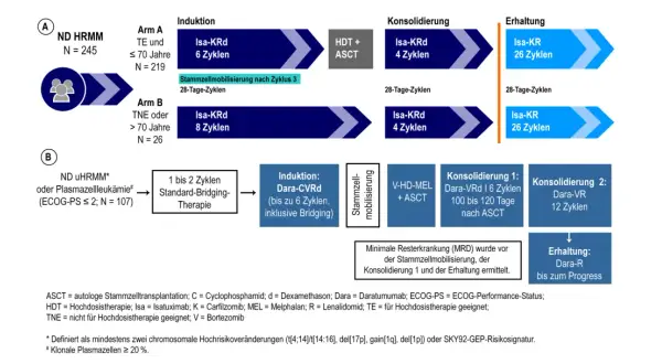 Schema zeigt Behandlungswege für multiples Myelom. Mit neuen Therapien könnte multiples Myelom bald heilbar sein.