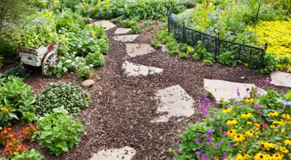 Sentiero in pietra attraverso un giardino fiorito, con pacciamatura che ne evidenzia il significato di cura e bellezza naturale.
