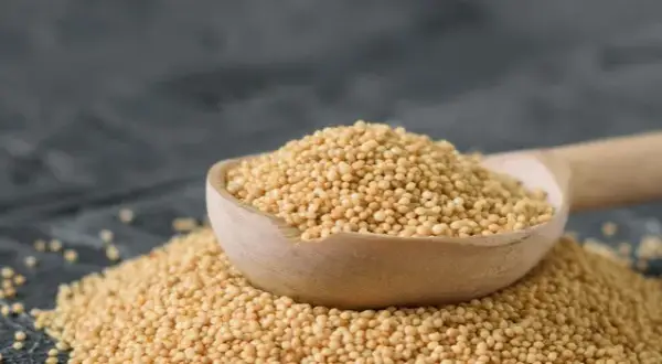 Czy amarantus ma gluten? Dowiedz się, dlaczego jest bezpieczny dla Ciebie