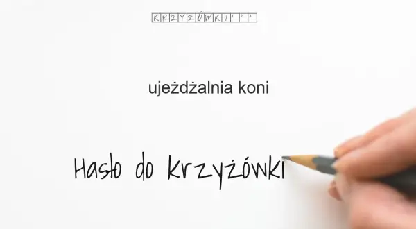 Ujeżdżalnia w stadninie koni – kluczowe informacje i definicje