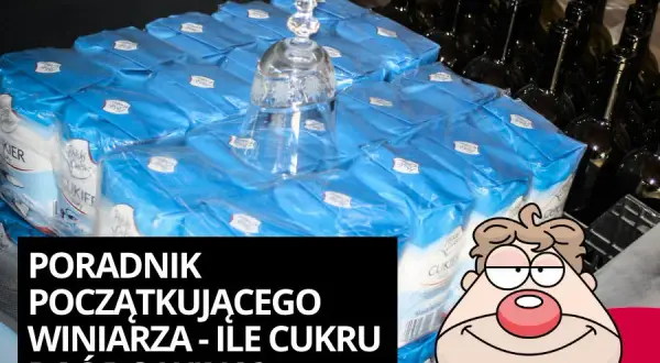 Ile cukru na 5l wina? Oblicz idealną ilość dla mocnego trunku