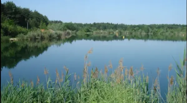 Łowisko Okoń w Janówku Pierwszym - Idealne miejsce na wędkowanie