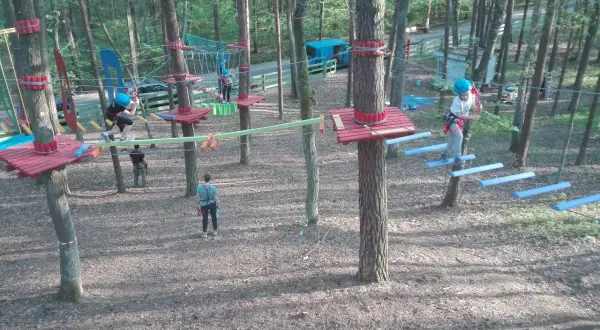 Park Linowy Zalesie Górne: Trasy, Ceny, Bezpieczeństwo Rodzinna Przygoda!