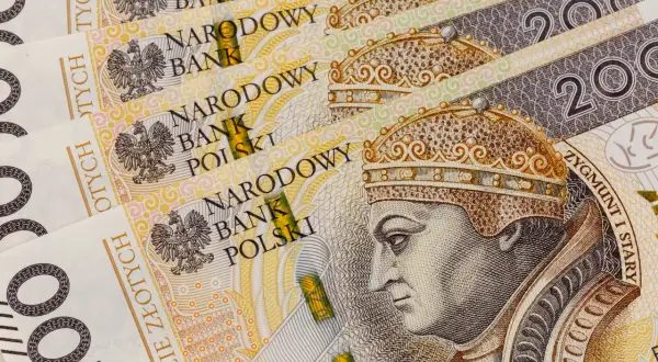 Złotówki z wizerunkiem Zygmunta Starego. Może to być zaliczkowa emerytura z powodu OFE.