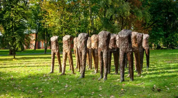 Rzeźby Magdaleny Abakanowicz, grupa bezgłowych postaci, stoi na trawiastym, jesiennym dziedzińcu.