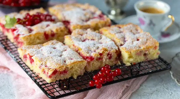 Saftiger Johannisbeer Kuchen, mit Puderzucker bestäubt, auf einem Gitterrost, daneben eine Tasse Kaffee und frische Johannisbeeren.