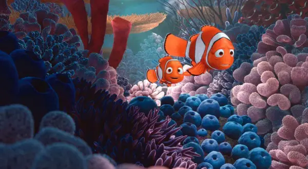 Gdzie jest Nemo książka - poznaj różne wersje i ich unikalne cechy