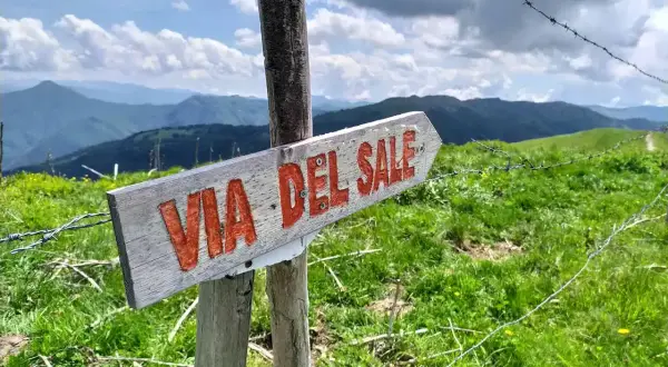 Cartello in legno indica il **via del sale cammino**. Panorami montani verdi e cielo azzurro con nuvole bianche.