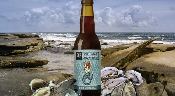 Birra Wildwad Kombu Oyster Stout con ostriche e perla su scogli marini.