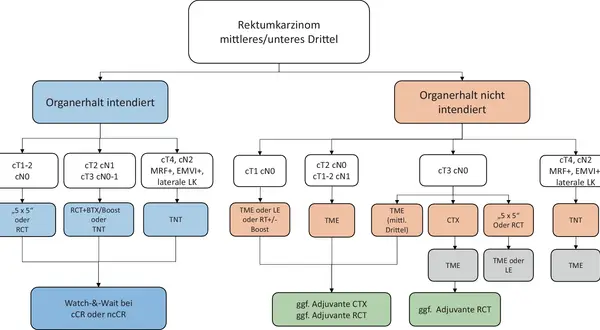 Flussdiagramm zu Rektumkarzinom Stadien: Organerhalt intendiert vs. nicht intendiert, mit Therapieoptionen je nach Tumorstadium (cT/cN).