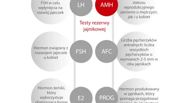 AMH to marker płodności. Czy AMH może wzrosnąć? Wykres przedstawia hormony i wskaźniki rezerwy jajnikowej.