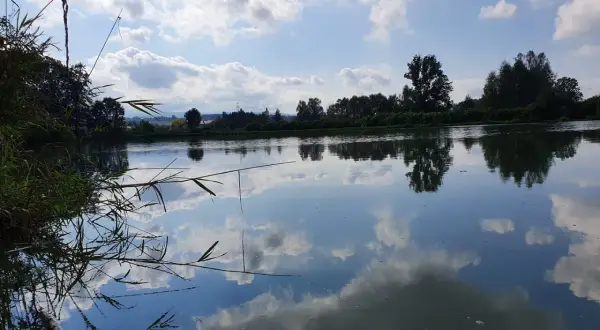 Spokojne łowisko Zawodzie. Lasy odbijają się w tafli wody, a chmury wiszą na błękitnym niebie.