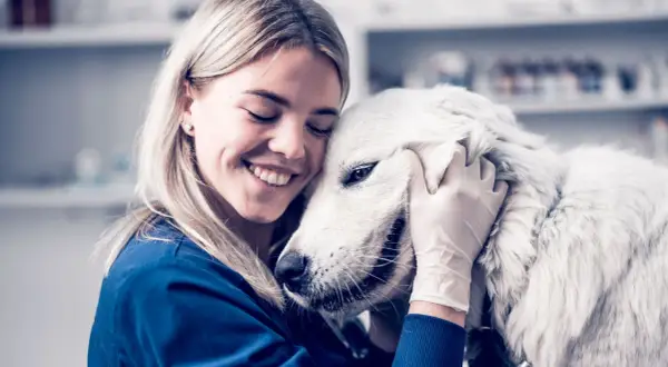 Veterinaria abraza a un perro blanco, brindando consuelo ante la ataxia en perros.