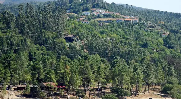 Playa con gente disfrutando del sol y el agua, rodeada de pinos y casas en la ladera. Para saber gondomar como llegar, busca esta idílica estampa.