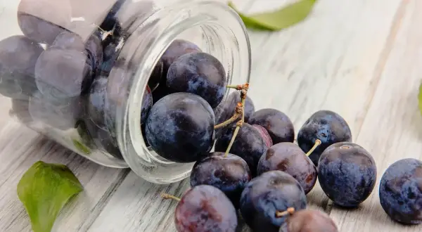 Frische Pflaumen rollen aus einem Glas. Sie sind reich an Antioxidantien, die die resveratrol wirkung unterstützen können.