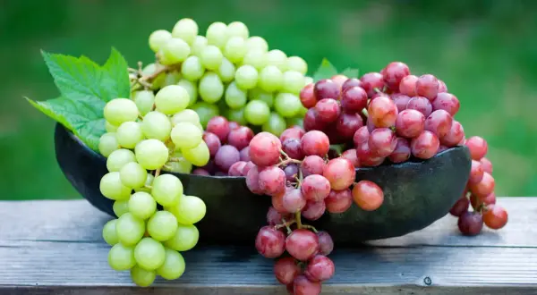 Grappoli di uva verde e rossa in una ciotola scura, su un tavolo di legno. Ricorda che l'uva è lassativa!