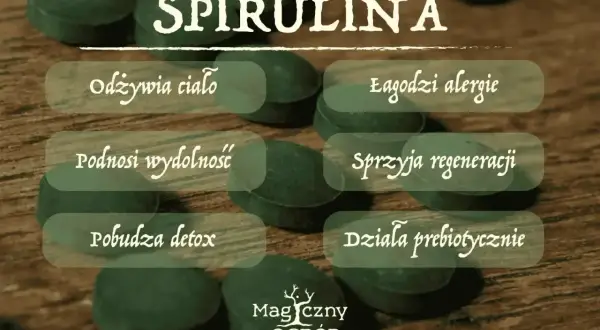 Spirulina właściwości: odżywia ciało, łagodzi alergie, podnosi wydolność, sprzyja regeneracji, pobudza detox, działa prebiotycznie.