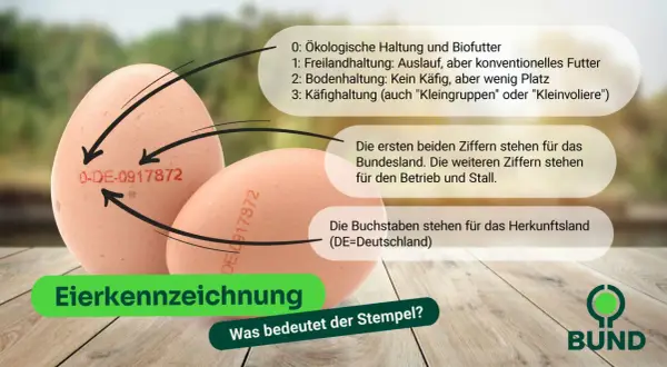 Eierkennzeichnung erklärt: Die Zahlen geben Haltungsform (0-3), Bundesland & Stall an. DE steht für Deutschland. Infos zu Eier ab Hof Verkauf Vorschriften.