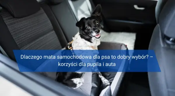 Dlaczego mata samochodowa dla psa to dobry wybór? – korzyści dla pupila i auta