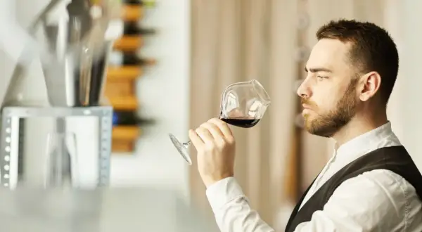 Mężczyzna, degustator win, wącha kieliszek czerwonego wina, oceniając jego aromat.