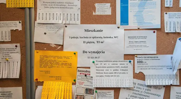 Ogłoszenia na tablicy korkowej: wynajem mieszkań i pokoi, jak sprawdzić właściciela mieszkania, sprzedam.