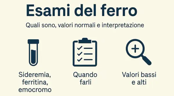 Esami del ferro: sideremia, ferritina, emocromo. Informazioni su ferro basso, sintomi donne, valori e interpretazione.