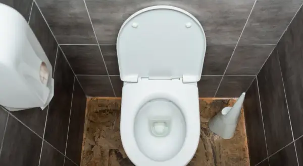 Vue plongeante d'une cuvette de WC blanche ouverte, avec un distributeur de papier à gauche. Le sanibroyeur fonctionne pour évacuer les déchets.