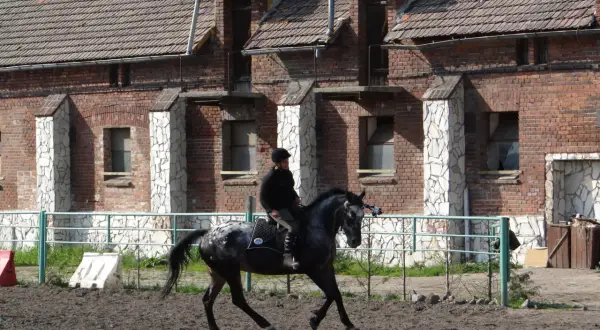 Jeździec na ciemnym koniu w stadninie koni Durok.