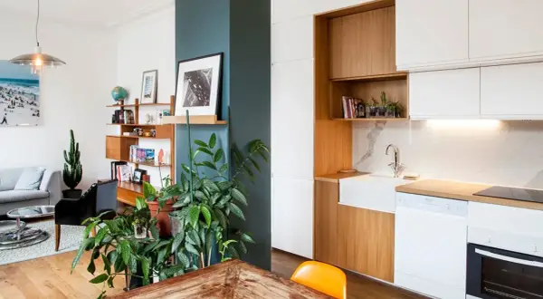 Piante rigogliose e una libreria in legno aiutano ad abbellire una colonna in questo soggiorno moderno con cucina a vista.