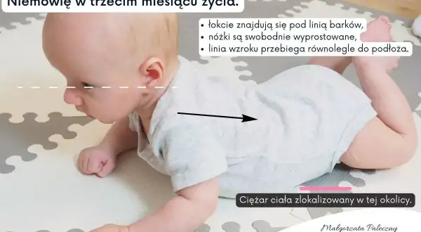 Niemowlę w trzecim miesiącu życia leży na brzuchu. Zwróć uwagę na nieprawidłowe leżenie na brzuchu niemowlaka: łokcie są za linią barków, a ciężar ciała jest przesunięty do tyłu.