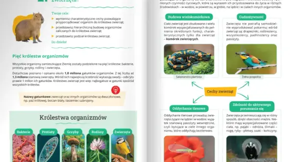 Od której klasy jest biologia? Kluczowe informacje dla rodziców i uczniów