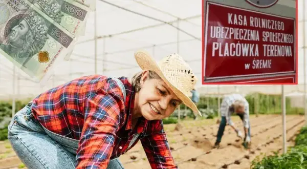 Rolniczka w szklarni, symbolizująca ciężką pracę, z banknotami 100 zł i tablicą KRUS. Ile wynosi emerytura rolnicza po 40 latach pracy?