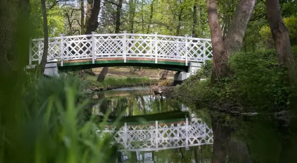 Najlepsze atrakcje w Jelitkowie, które musisz zobaczyć podczas wizyty