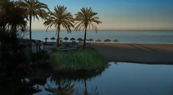 Palmeras y sombrillas en la playa de Puerto Banús, Marbella. Un pequeño estanque refleja el cielo azul y la calma del mar.