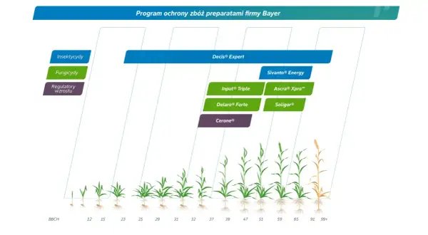 Program ochrony zbóż Bayer: Insektycydy, fungicydy (np. Input® Triple, Delaro® Forte) i regulatory wzrostu. Wykres pokazuje zastosowanie preparatów w różnych fazach rozwoju roślin.