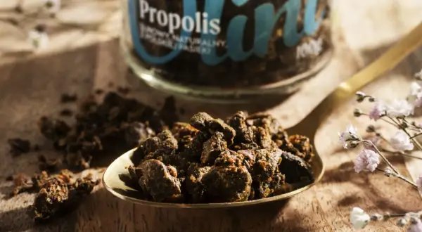 Łyżka pełna propolisu, ukazująca jego naturalne, zbite grudki. Słoik z napisem "Propolis" w tle podkreśla jego cenne właściwości.