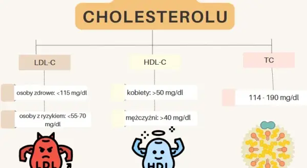 Skuteczne obniżanie cholesterolu: Leki Rx i OTC co musisz wiedzieć?