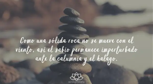 Piedras apiladas con frases de Buda: "Como una sólida roca no se mueve con el viento, así el sabio permanece imperturbado ante la calumnia y el halago.