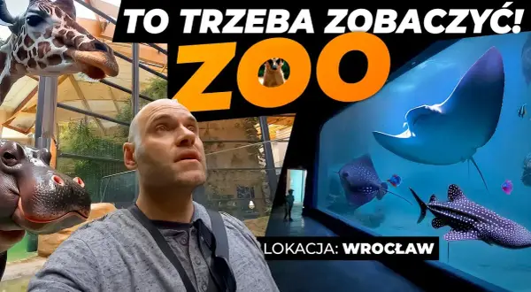 Czy afrykarium i oceanarium to to samo? Poznaj zaskakujące różnice