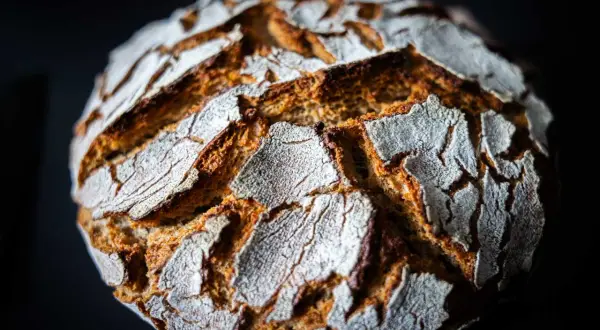 Ein rustikales Roggenmischbrot mit Sauerteig, dessen Kruste mit Mehl bestäubt ist und tiefe Rillen aufweist.