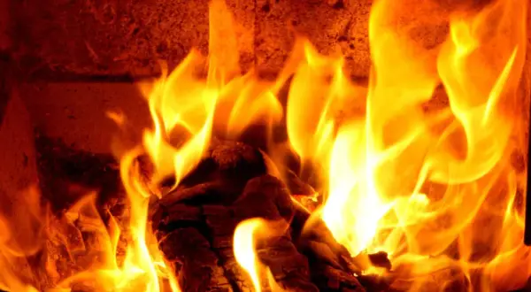 Glühende Flammen tanzen um Douglasie-Brennholz im Kamin. Wärme und Gemütlichkeit breiten sich aus.