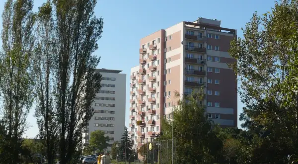 Wysokie bloki mieszkalne na osiedlu Lotnictwa Polskiego, otoczone zielenią i wysokimi drzewami.