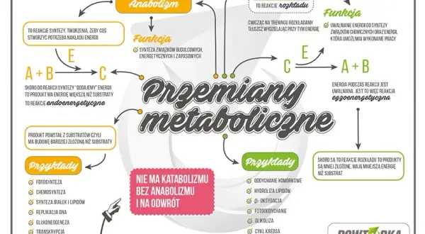 Sekrety efektywnej nauki biologii: Zrozum, nie wkuwaj!