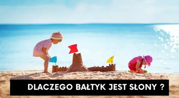 Dlaczego Bałtyk jest słony? Odkryj zaskakujące przyczyny salinity