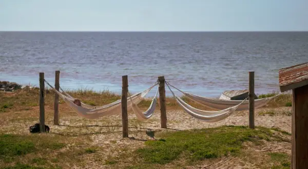 En person vilar i en hängmatta vid Tofta strand boende. Flera hängmattor hänger mellan träpålar vid havet.