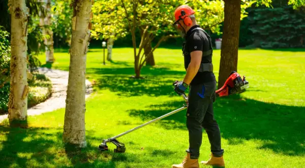 Mężczyzna w kasku i ochronach pracuje kosą spalinową, pielęgnując trawnik. Zastanawiasz się, **kosa spalinowa jaką wybrać**? Ten model wygląda na wydajny.